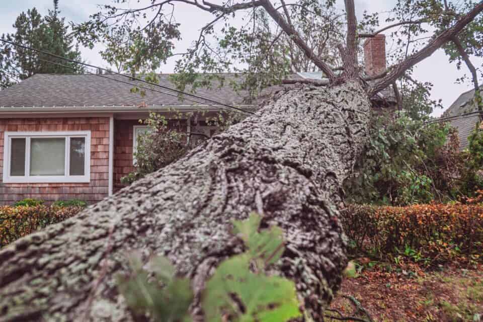 Fiona, one of the strongest storms to hit Canada, left a trail of destruction across the Atlantic. Homes and roofs were smashed, trees were torn from their roots, and the power went out for thousands.